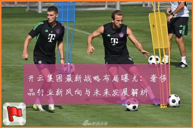 开云集团最新战略布局曝光：奢侈品行业新风向与未来发展解析