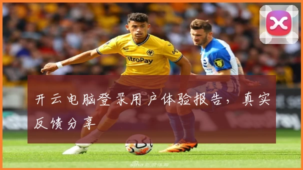 开云电脑登录用户体验报告，真实反馈分享